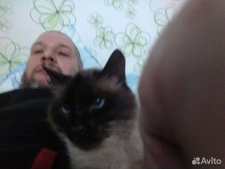 Товары для животных разные