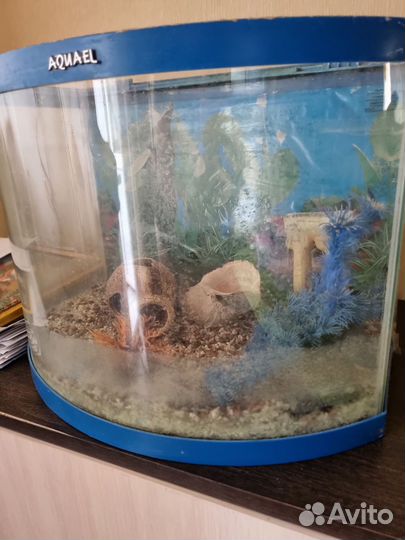 Аквариум