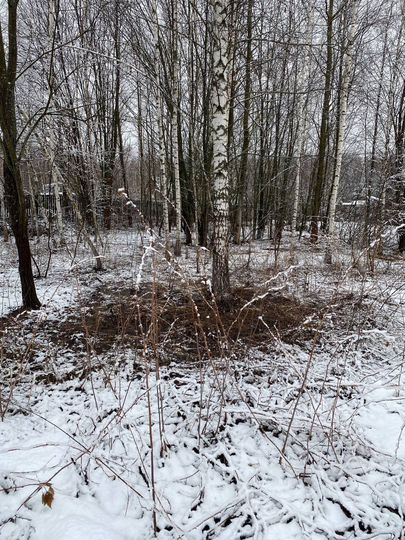 Участок 10 сот. (СНТ, ДНП)