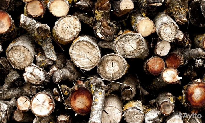 Дрова Ольховые