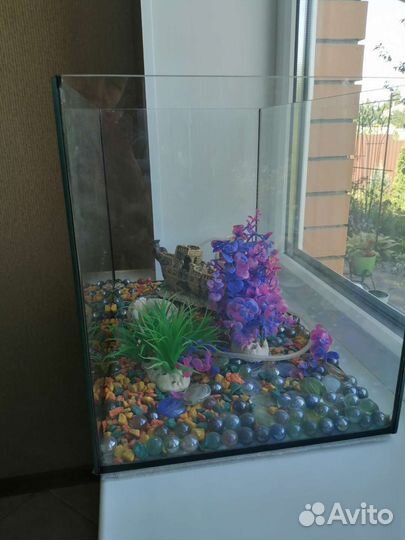 Аквариум и декор