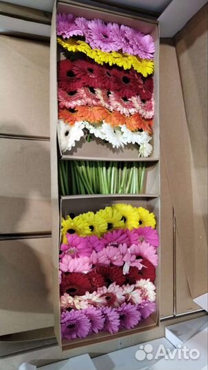 Гербера опт коробка цветы доставка