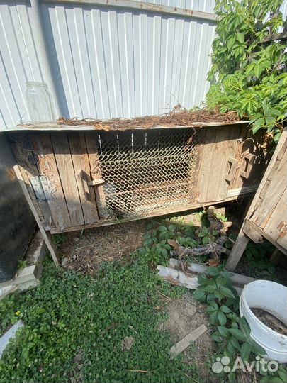 Кролики с клеткой