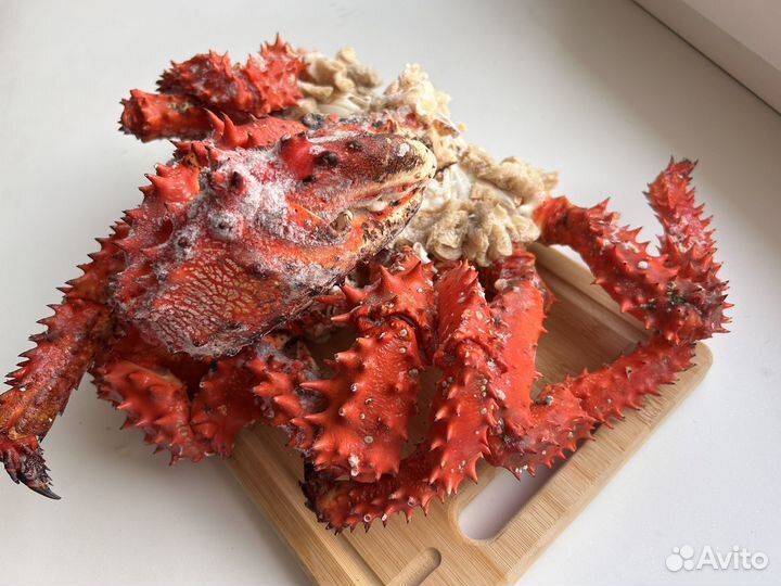 Краб колючий