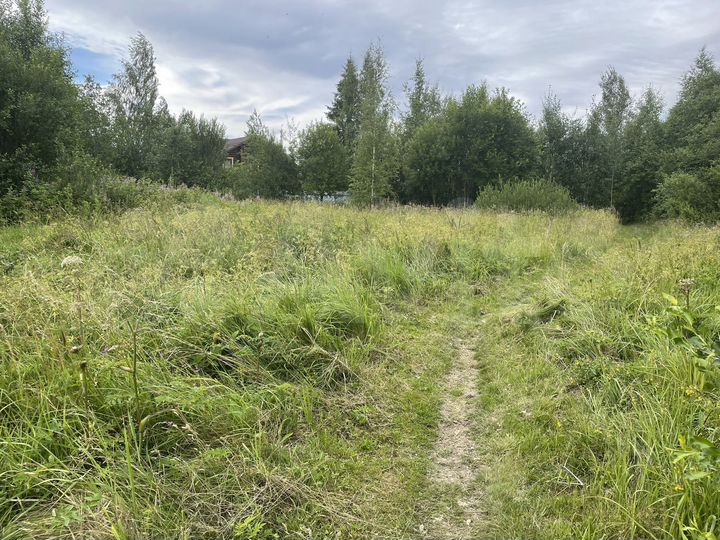 Участок 10 сот. (СНТ, ДНП)