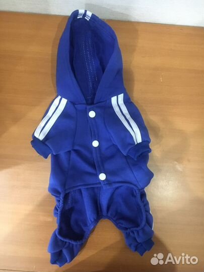 Костюм для собаки