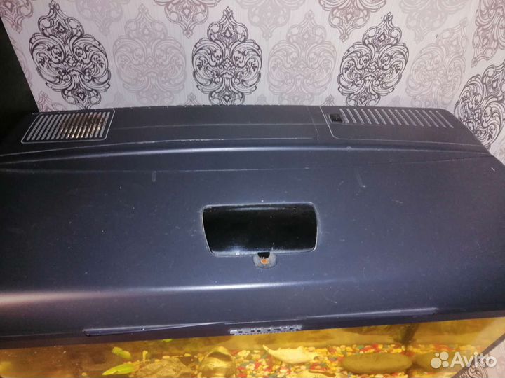 Аквариум с живностью