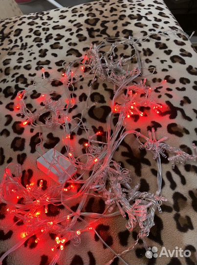 Электрогирлянда 2 х 1,5 метра