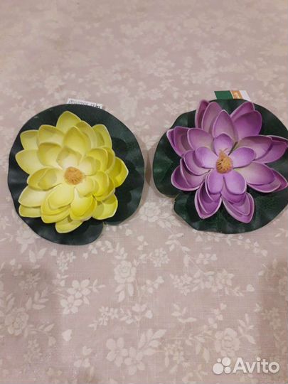 Кувшинка прудовая