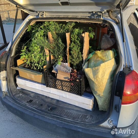 Перевезти вещи