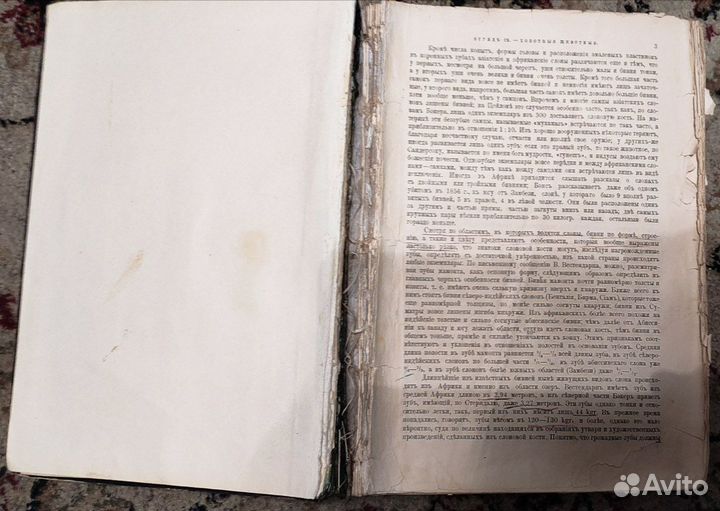 Брэм. Жизнь животных. Том 3. 1900-1910 гг