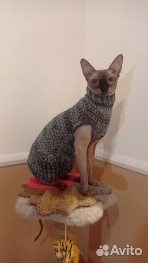 Вязаная одежда на животных.Ручная работа