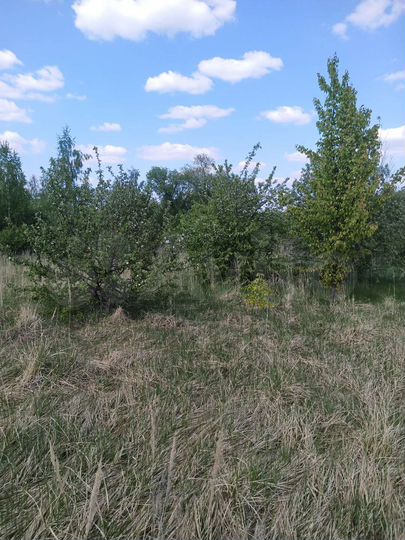 Участок 27 сот. (ИЖС)