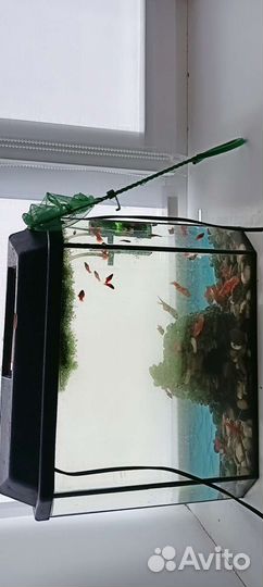 Аквариум с рыбками