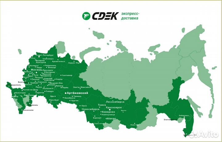 Азалия Сатоми - саженцы зкс, питомник Сады Урала