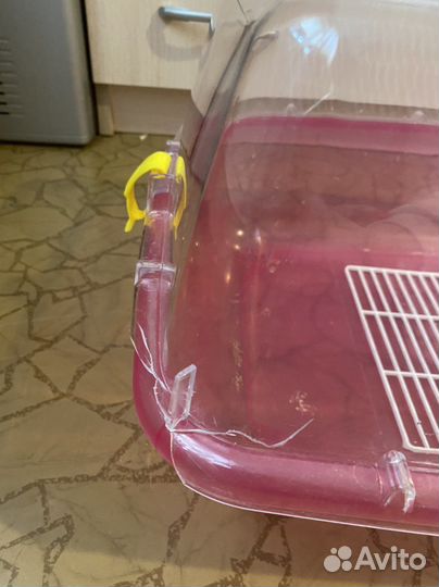 Клетка закрытая