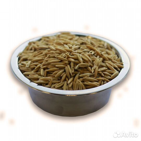 Зерно в ассортименте