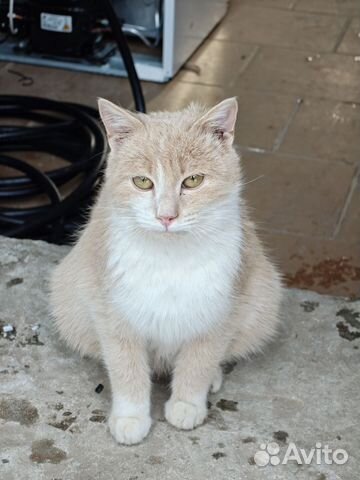 1.LaeOoLa4gU64CUNL2OgGhcQBg0gwAQNG-ASDTD4JiUQ4.d0i2SRfZuzpq-r-MM_Vg-PqiLxrvFAJradg2QnjLUt8