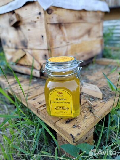 Мёд Алтайский от производителя, опт