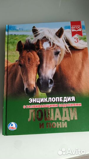 Энциклопедия с развивающ.заданиями 5 шт новые