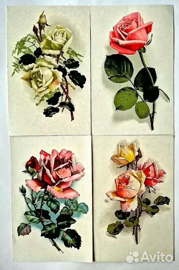 Открытки 50-х годов СССР