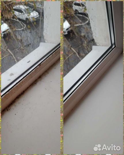 Мойка окон, уборка квартир, коттеджей