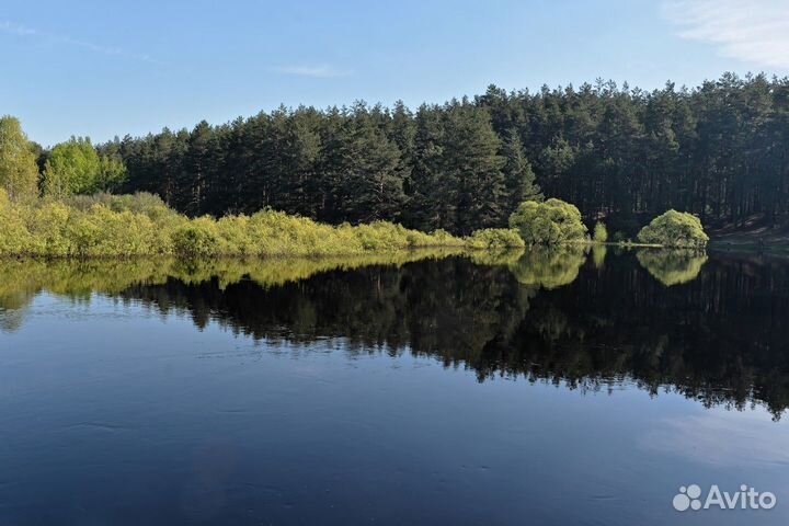 Экскурсия — Рязань — Вгости кприроде: изРязани— вО