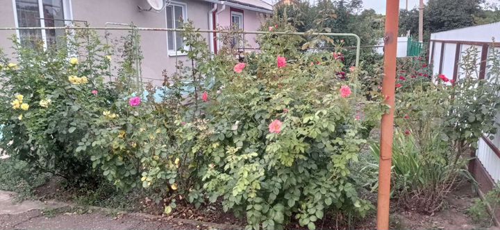 4-к. квартира, 95 м², 1/1 эт.