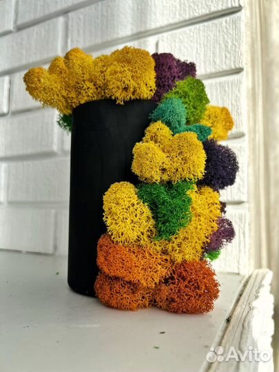 Композиция из мха. Подарок на 8 марта