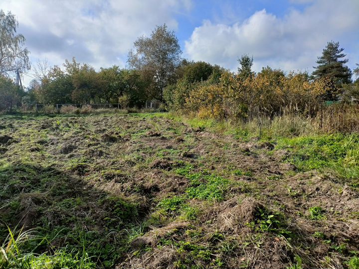 Участок 5,9 сот. (СНТ, ДНП)