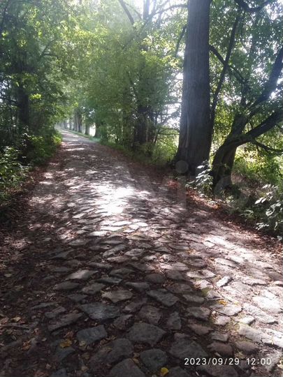 Участок 13 сот. (СНТ, ДНП)