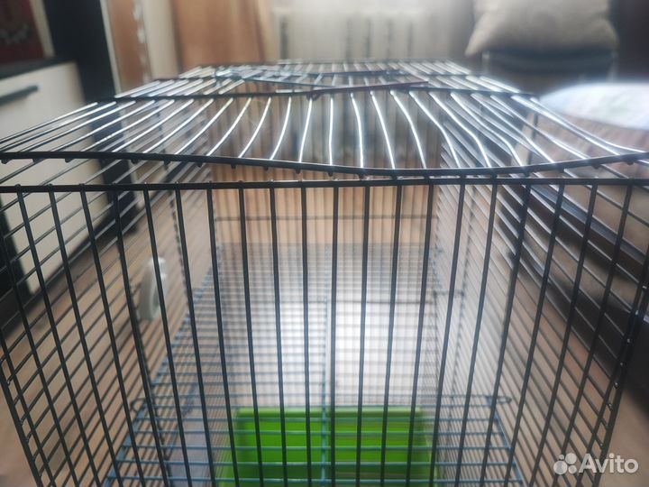 Клетка для грызунов