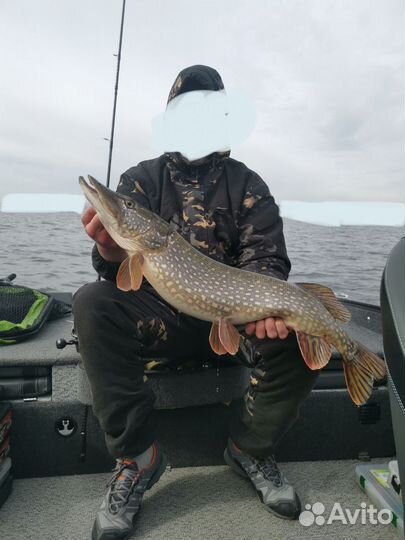 Рыбалка с гидом