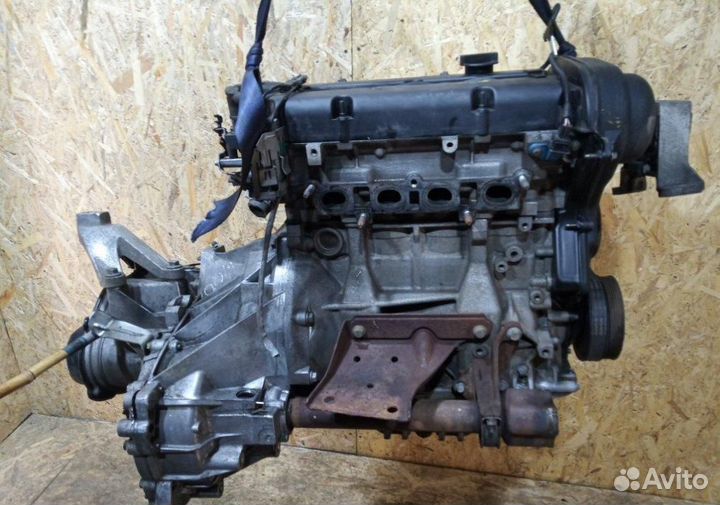 Двигатель Ford Focus / C-Max 1.6