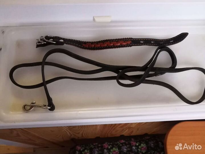 Поводок и ошейник