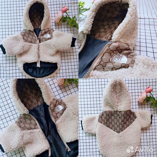 Одежда для собак