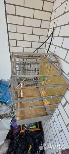 Большая клетка для птиц