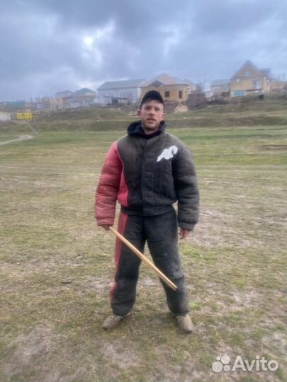 Кинолог.Дрессировка собак.Передержка