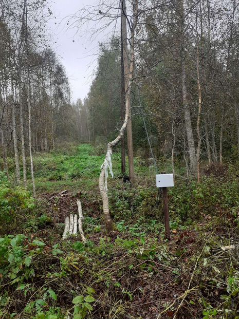 Участок 3 га (СНТ, ДНП)