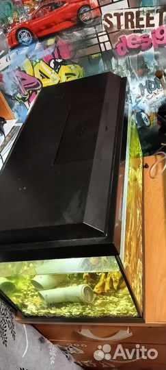 Аквариум с раками