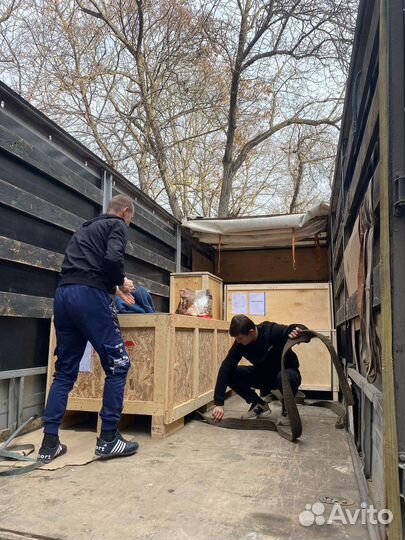 Грузчики - Переезды - Перевозки