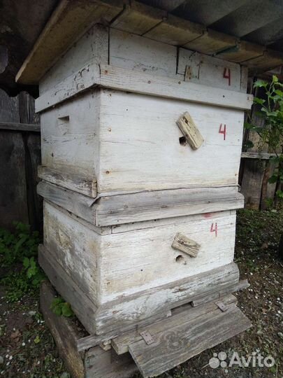 Пчеловодство оборудование б/у