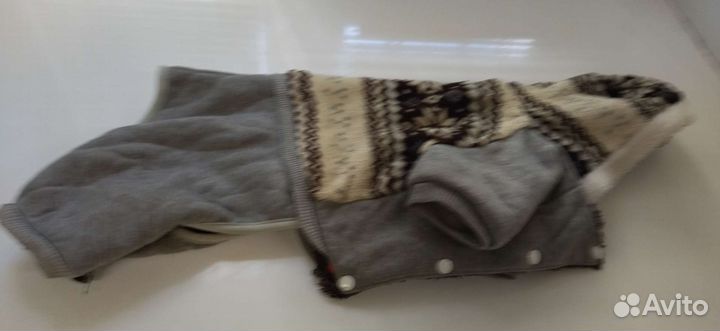 Разная одежда для собак