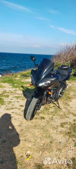 Yamaha FZ6-S