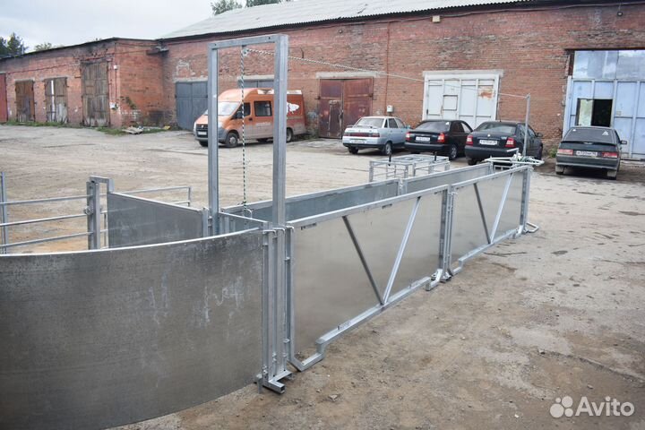 Овцы бараны козы сортировка раскол витамины стада