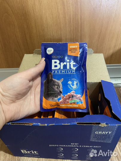 Влажный корм для кошек brit