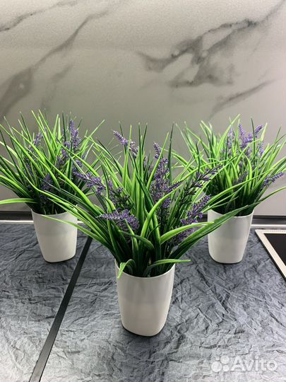 Искуственная осока, зелень, цветы в кашпо, декор