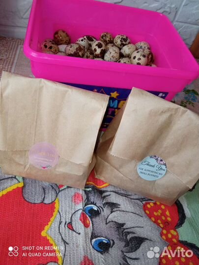 Яйцо перепелиное