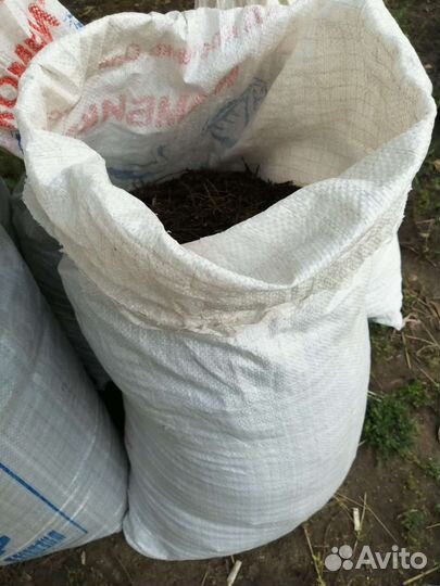 Хвойный перегной, опад