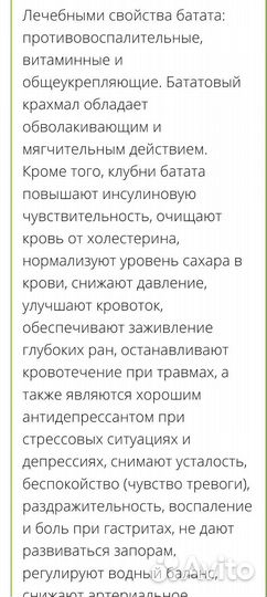 Сладкий картофель - батат